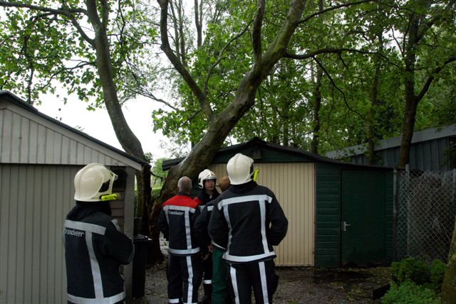 2009/114/20090526b 004 Nieuwemeerdijk boom op weg.jpg